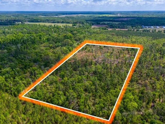 Land for sale in Suwannee, Florida