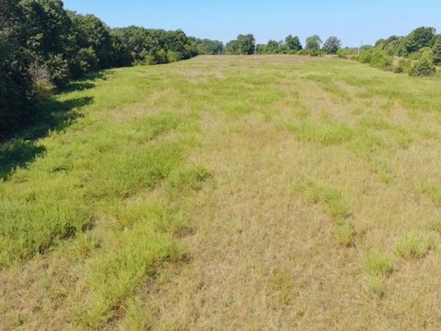 Land for sale in Norwood, Missouri
