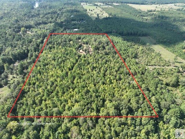 Land for sale in Linden, Cass County