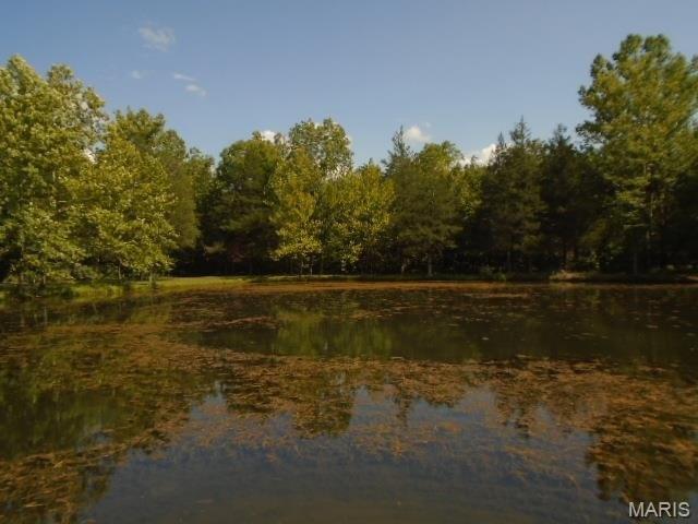 Farm for sale in Annapolis, Missouri
