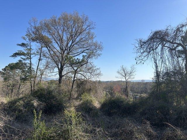 Land for sale in Stevenson, Alabama