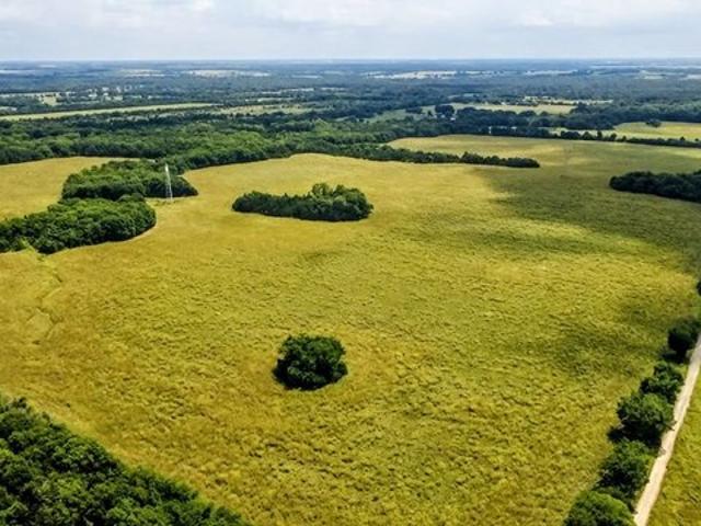 Land for sale in Lamar, Texas