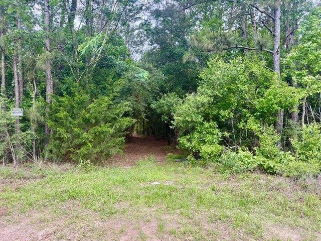 Land for sale in Hillister, Texas