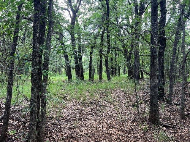 Land for sale in Cisco, Texas