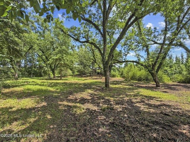 Land for sale in Louin, Mississippi