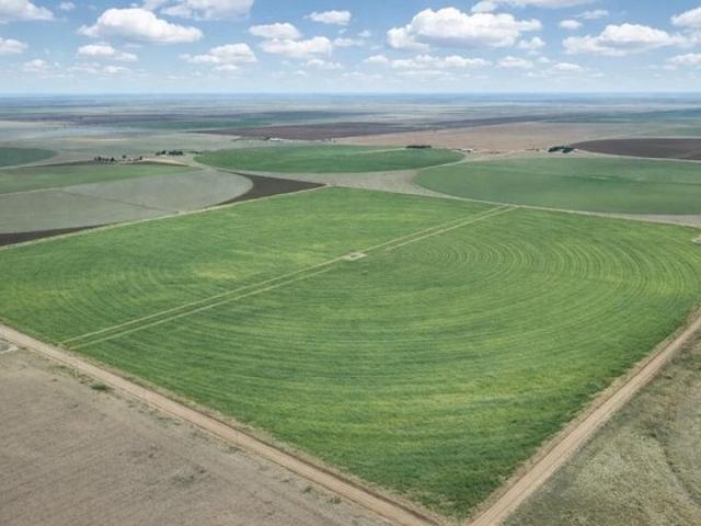 Land for sale in Lynn, Texas