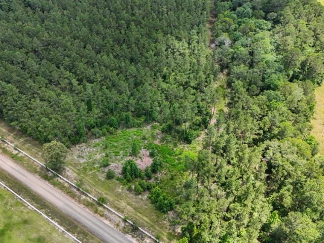 Land for sale in Hillister, Texas