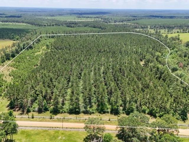 Land for sale in Hillister, Texas