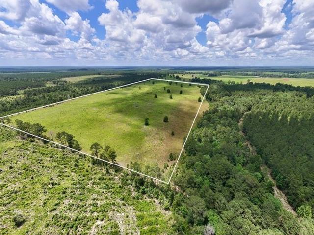 Land for sale in Hillister, Texas