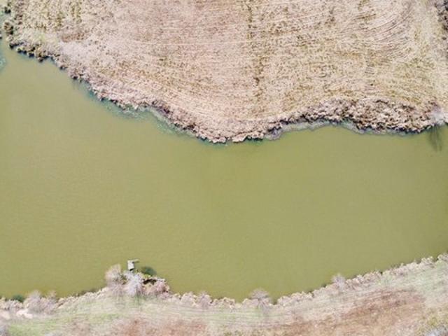 Farm for sale in Linden, Texas