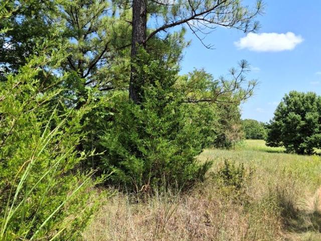 Land for sale in Ada, Oklahoma
