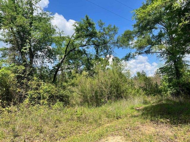 Land for sale in Shelby, Texas
