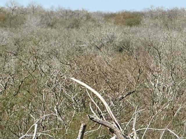 Farm for sale in Kenedy, Texas