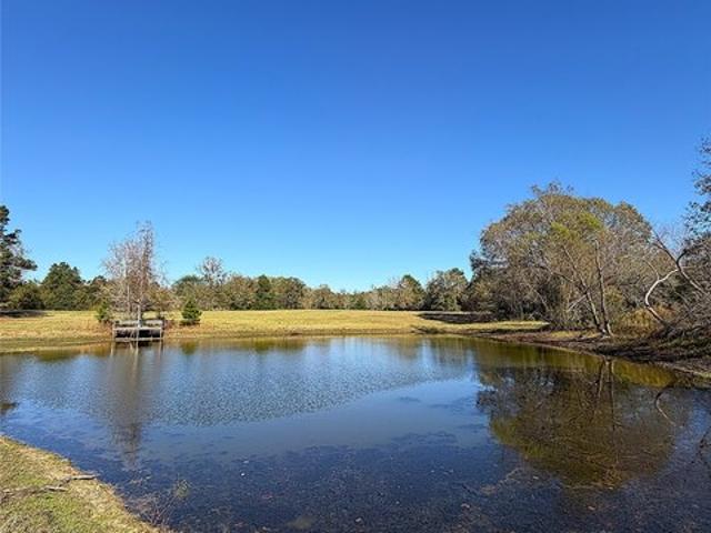 Land for sale in Centerville, Leon County