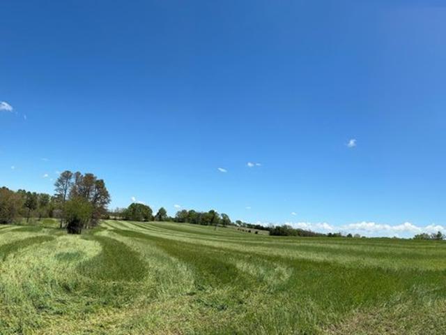 Land for sale in Drury, Missouri