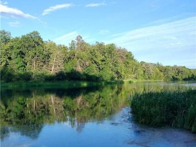 Land for sale in Wadena, Minnesota
