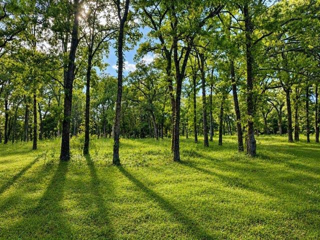 Land for sale in Rains, Texas