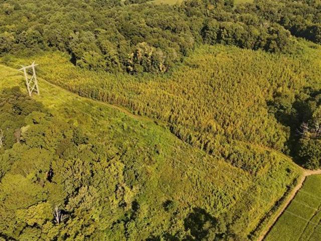 Land for sale in Gibson, Indiana