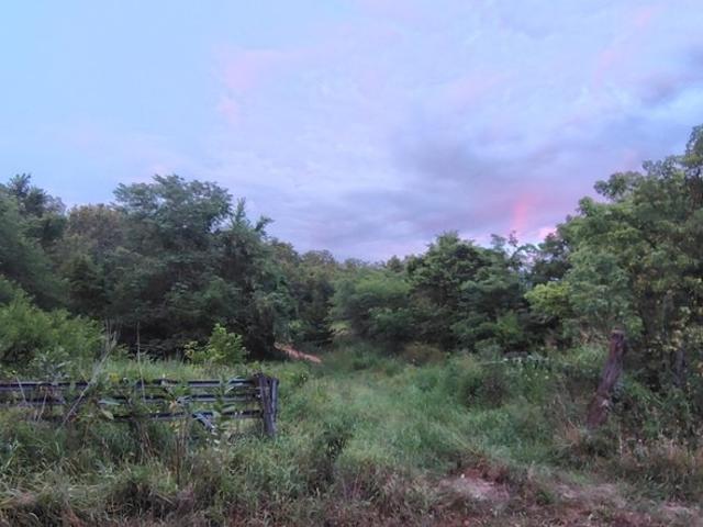 Land for sale in Preston, Hickory County