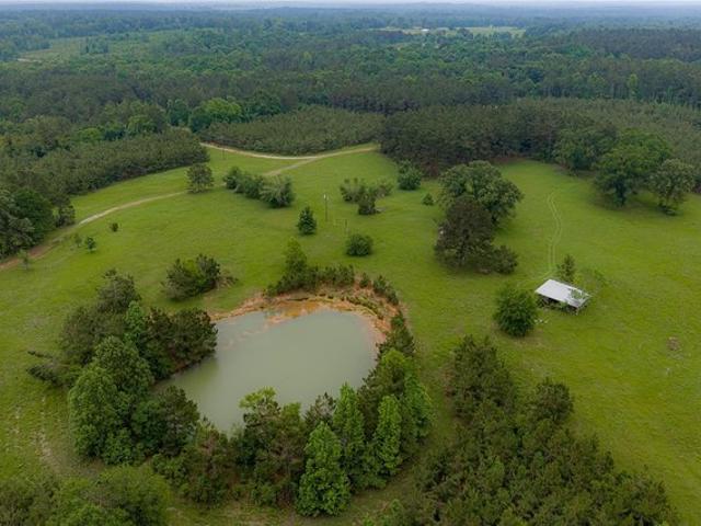 Land for sale in Panola, Texas