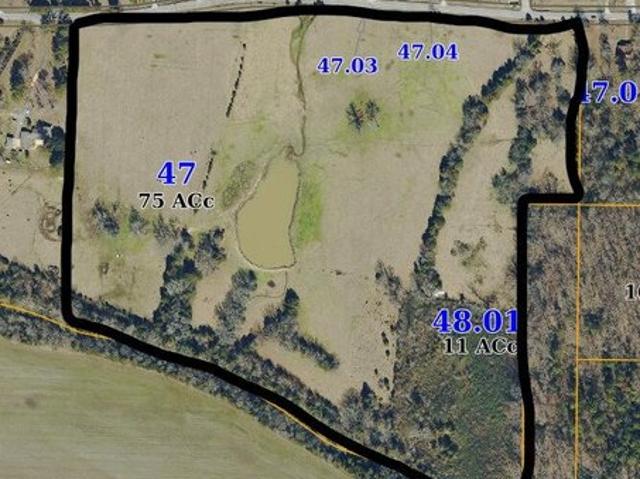 Land for sale in Shannon, Mississippi