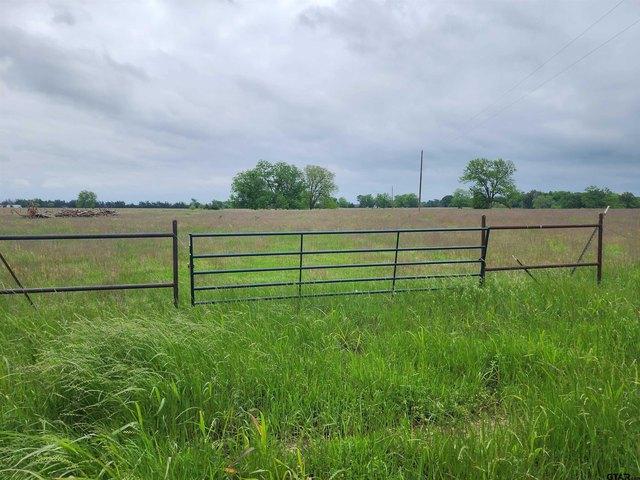 Land for sale in Lamar, Texas