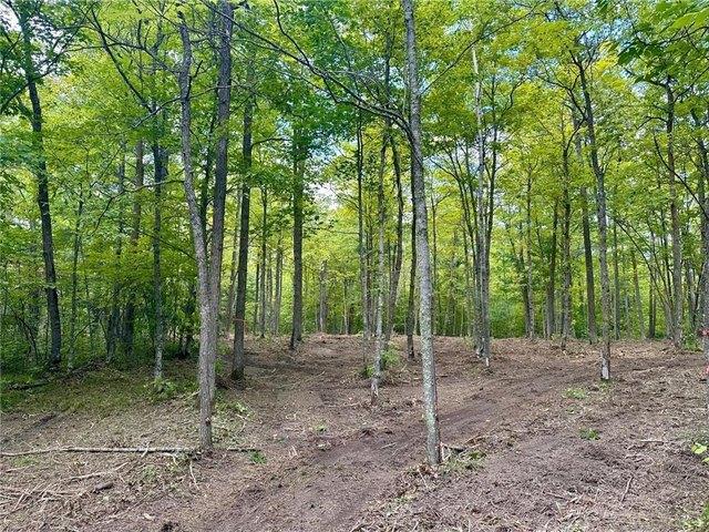Land for sale in Remer, Minnesota