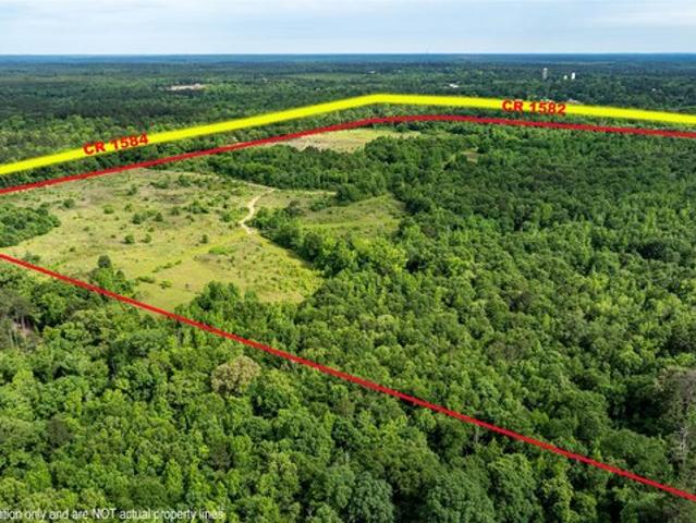 Land for sale in Avinger, Texas