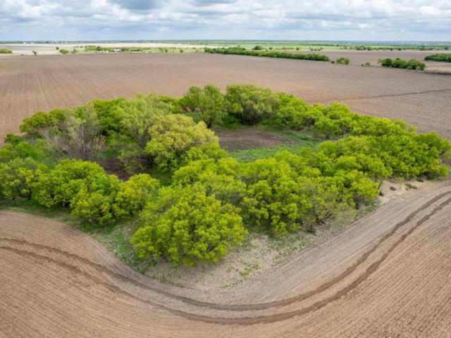Land for sale in Coleman, Texas