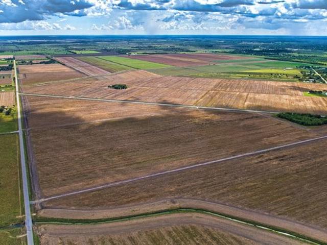 Land for sale in Damon, Texas