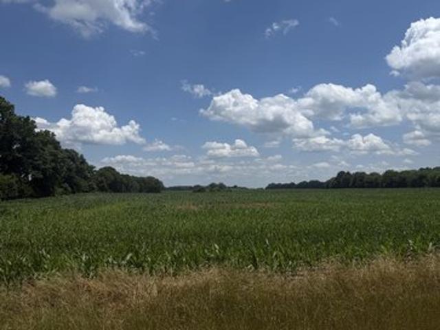 Farm for sale in Florence, Alabama