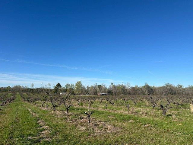 Land for sale in Maplesville, Alabama