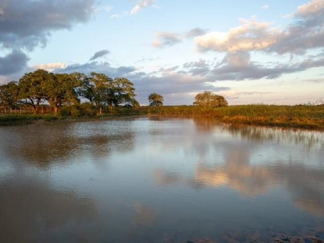 Land for sale in Hallettsville, Lavaca County