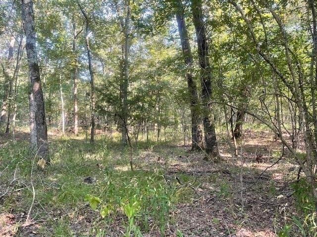 Land for sale in Lamar, Texas