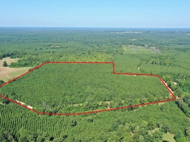 Land for sale in Linden, Texas