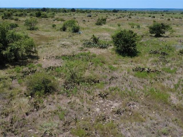 Land for sale in Bangs, Texas