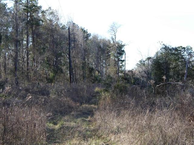 Land for sale in Rusk, Texas