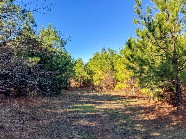 Farm for sale in Linden, Texas