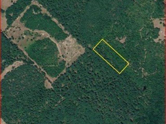 Land for sale in Crockett, Texas