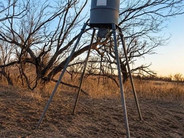 Farm for sale in Colorado City, Texas
