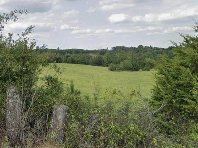 Land for sale in Belmont, Mississippi