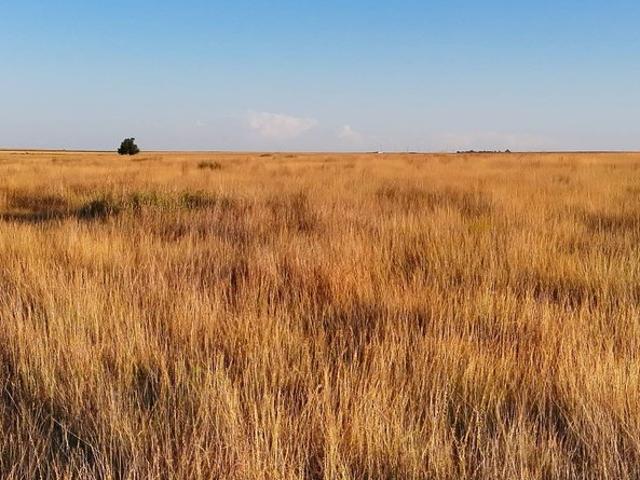 Land for sale in Kansas