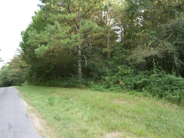 Land for sale in Louin, Mississippi