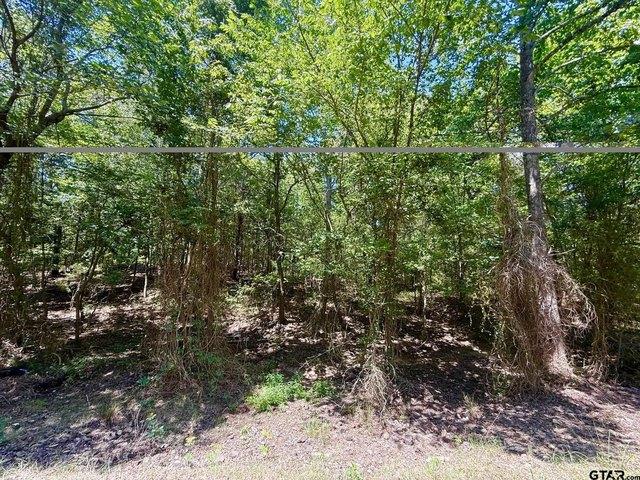 Land for sale in Titus, Texas