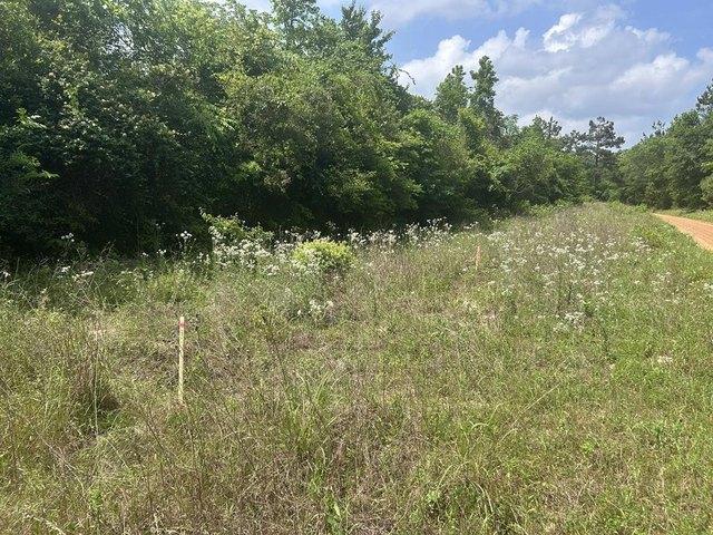 Land for sale in Garrison, Texas