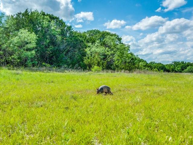 Land for sale in Stephenville, Texas