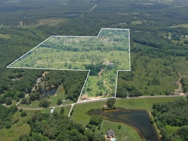 Land for sale in Guntown, Mississippi