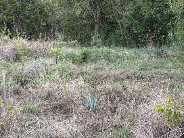 Land for sale in Clifton, Bosque County