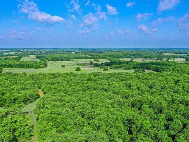 Land for sale in Sunset, Texas