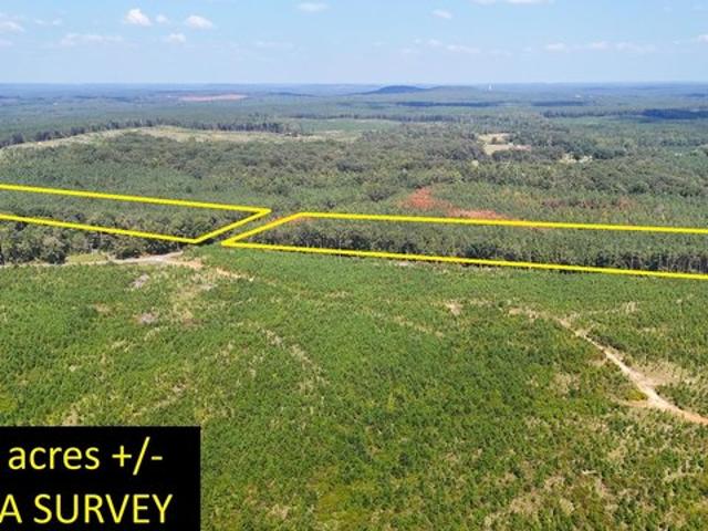 Land for sale in Iuka, Mississippi